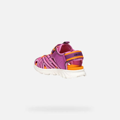 Fuchsia/Orange