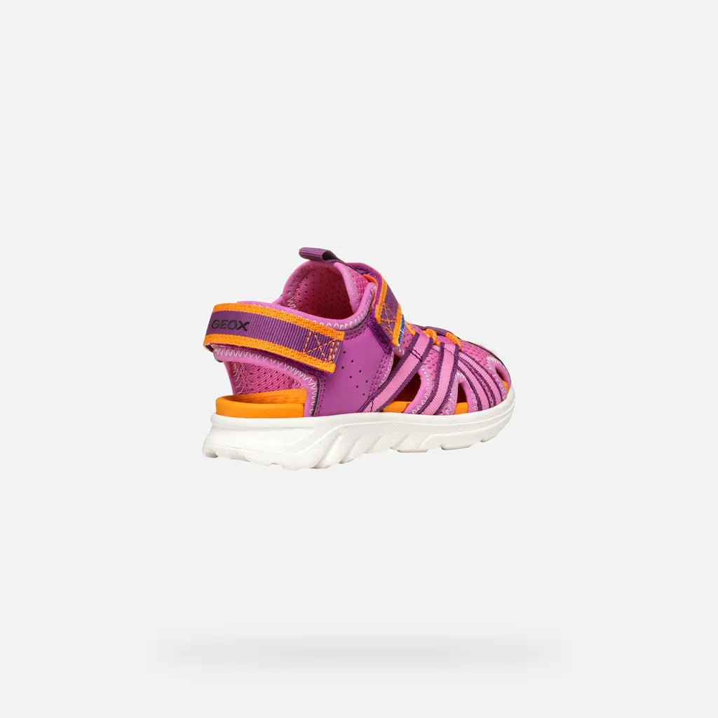 Fuchsia/Orange
