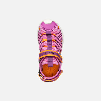 Fuchsia/Orange