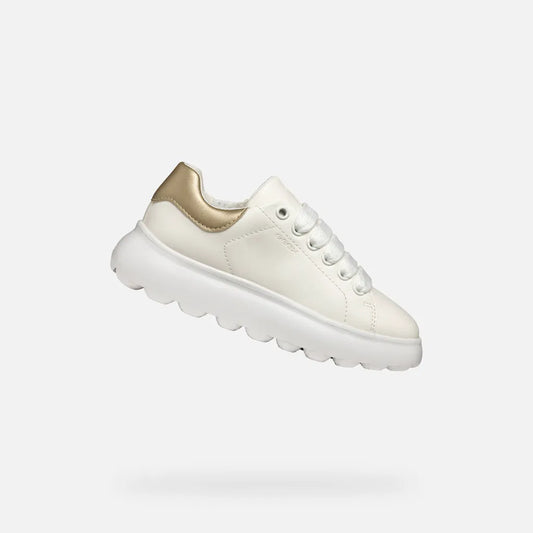 White/Platinum
