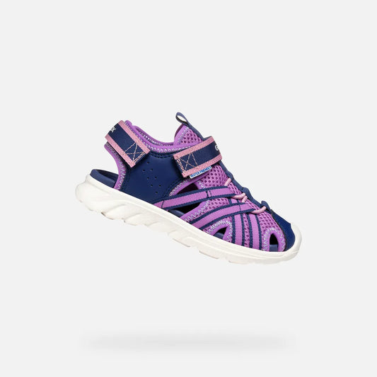 Navy/Purple