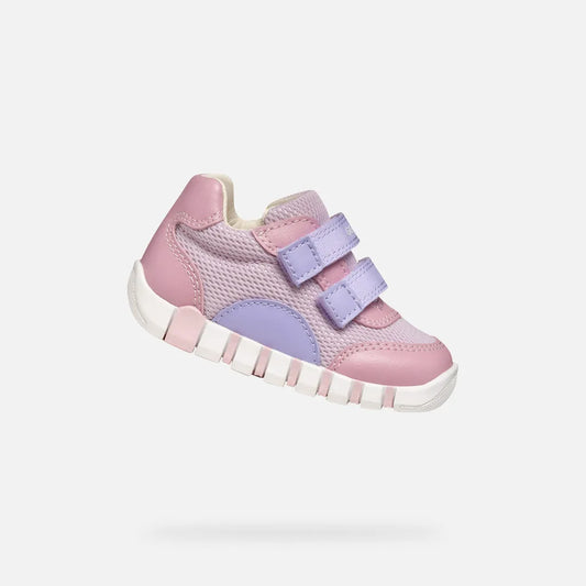 Rose/Lilac