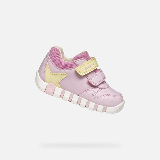 Pink/Light yellow