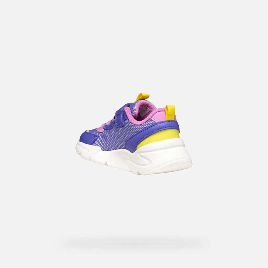Purple/Fluo Fuchsia