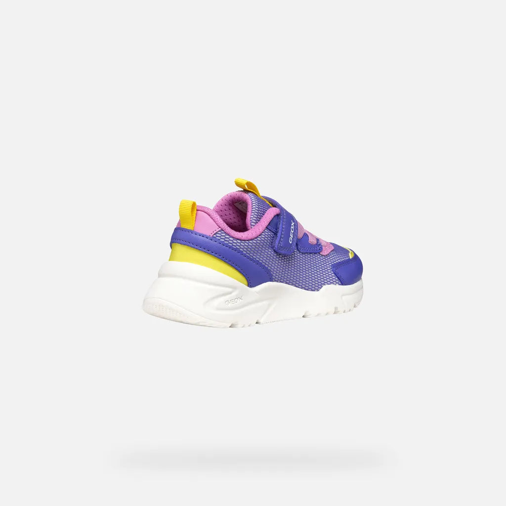 Purple/Fluo Fuchsia
