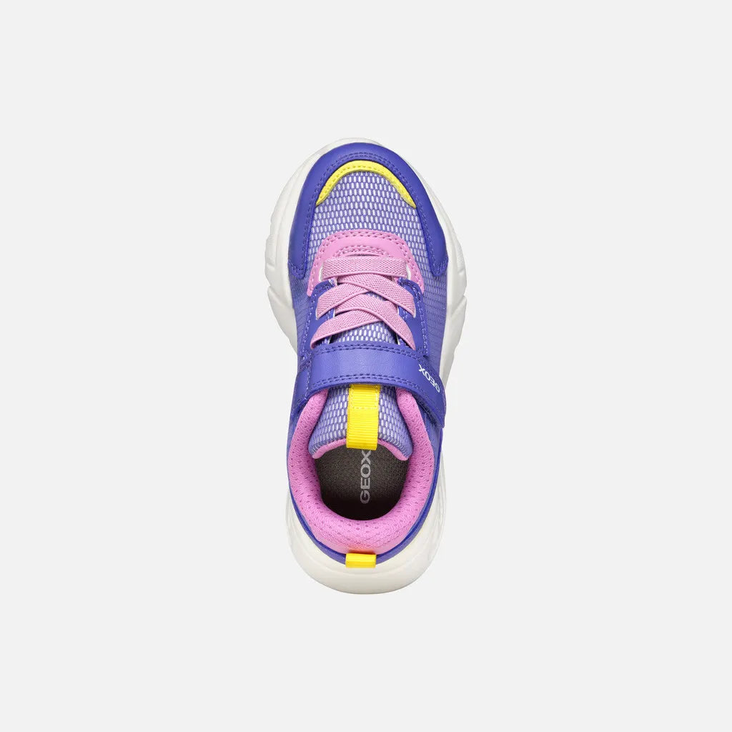 Purple/Fluo Fuchsia