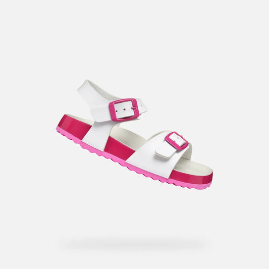 White/Fuchsia