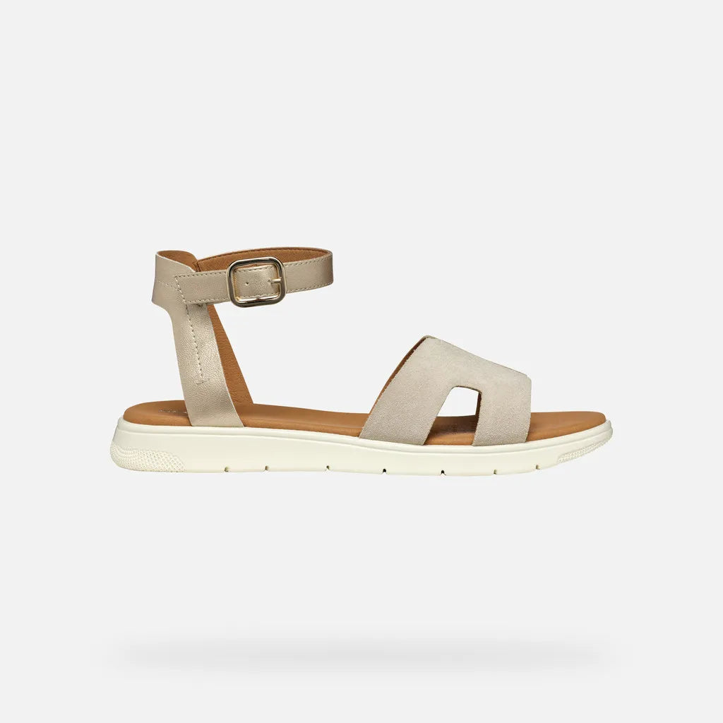 Light gold/Light taupe