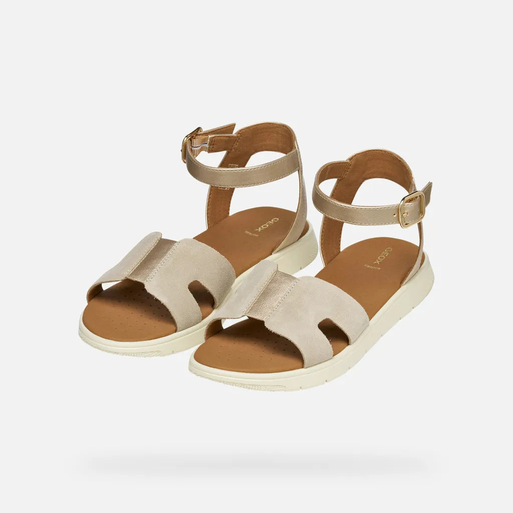 Light gold/Light taupe