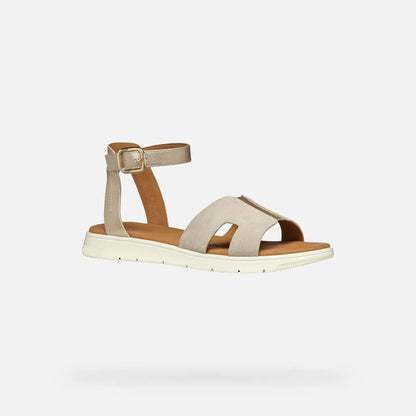 Light gold/Light taupe