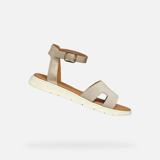 Light gold/Light taupe