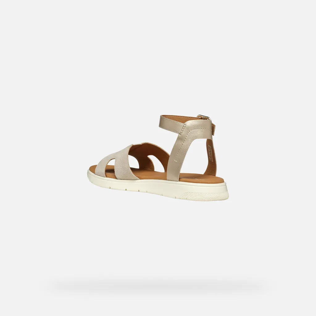 Light gold/Light taupe