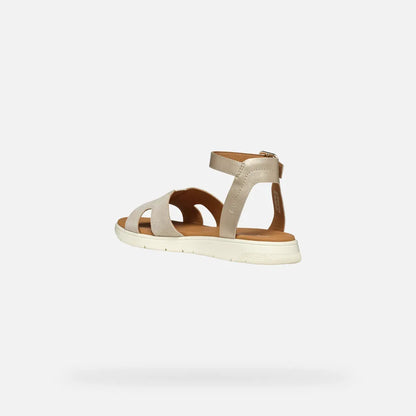 Light gold/Light taupe
