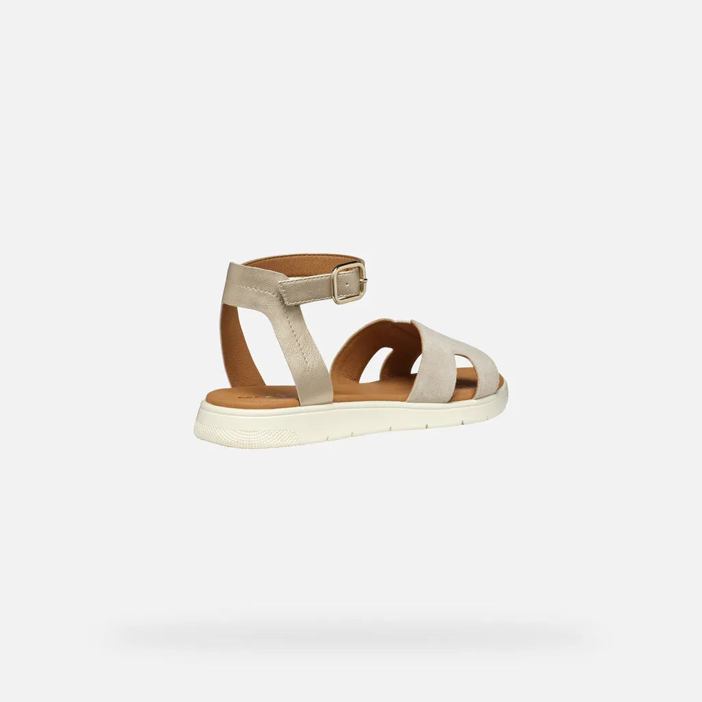 Light gold/Light taupe