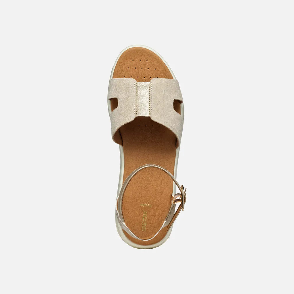 Light gold/Light taupe
